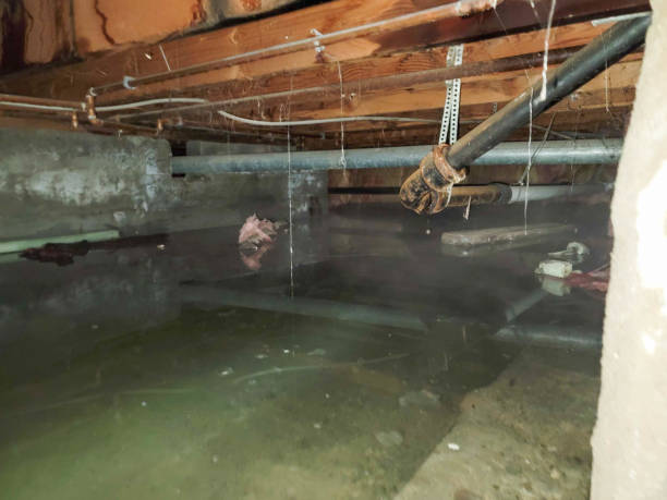 Best Emergency water damage restoration  in Hden Springs, ID
