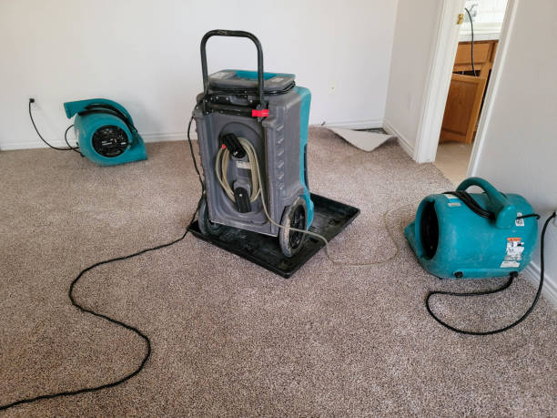 , ID Water damage restoration Company