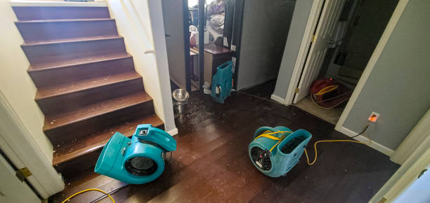 Best Fire Damage Restoration  in Hden Springs, ID