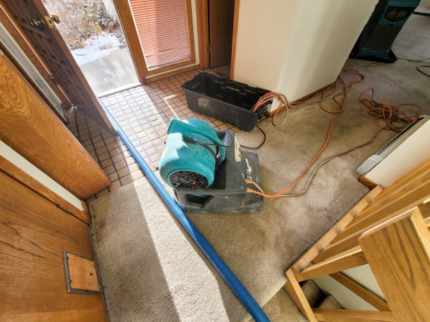  Hden Springs, ID Water damage restoration Pros