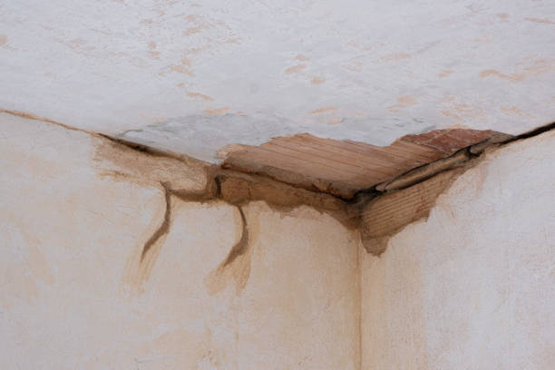 Best Water damage restoration near me  in Hden Springs, ID