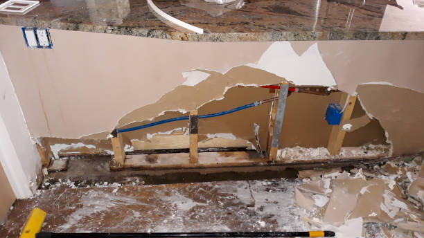 Best Water damage contractors near me  in Hden Springs, ID