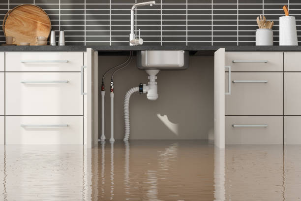 Best Residential water damage restoration  in Hden Springs, ID
