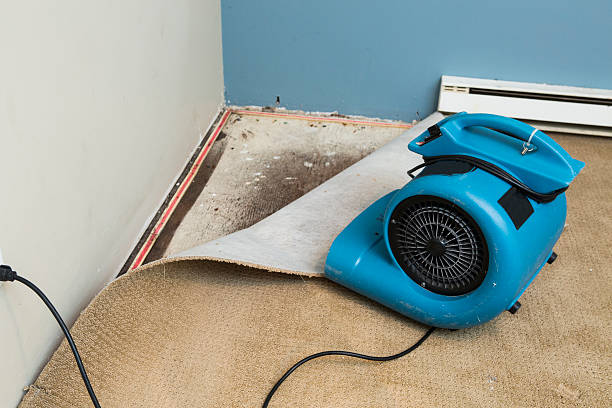 Best Water damage cleanup near me  in Hden Springs, ID